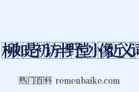 柳如是初访半野堂小像近义词是什么意思的图片